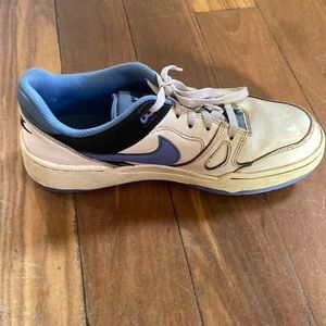Nike dunks multi-coloured
